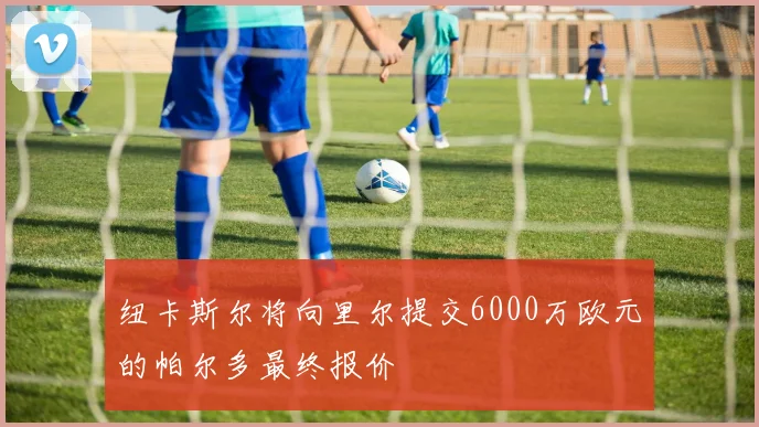 纽卡斯尔将向里尔提交6000万欧元的帕尔多最终报价